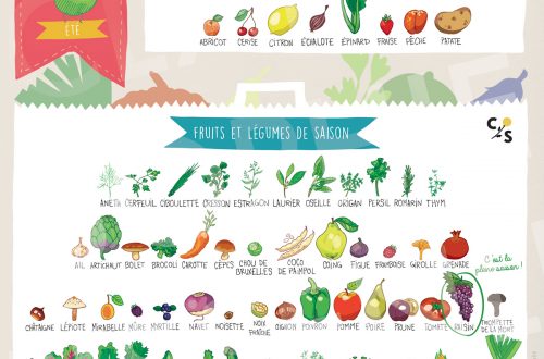 fruits et légumes de septembre
