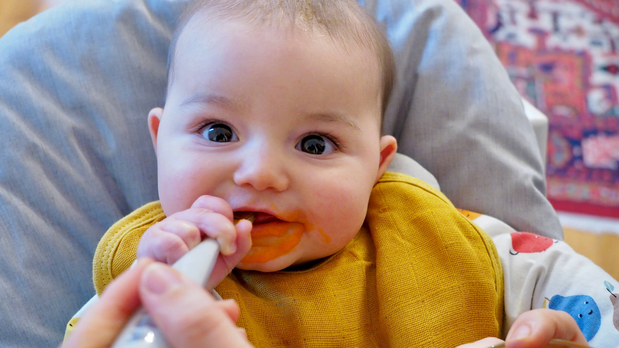 Que doit manger mon bébé entre 7 et 9 mois ?
