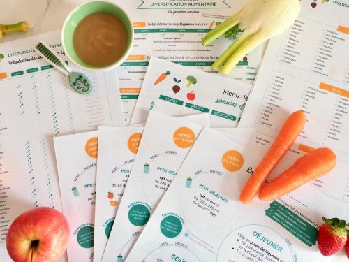 fiches memo diversification alimentaire