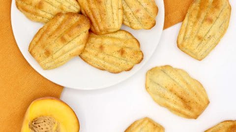 Madeleines A La Peche Cuisinez Pour Bebe