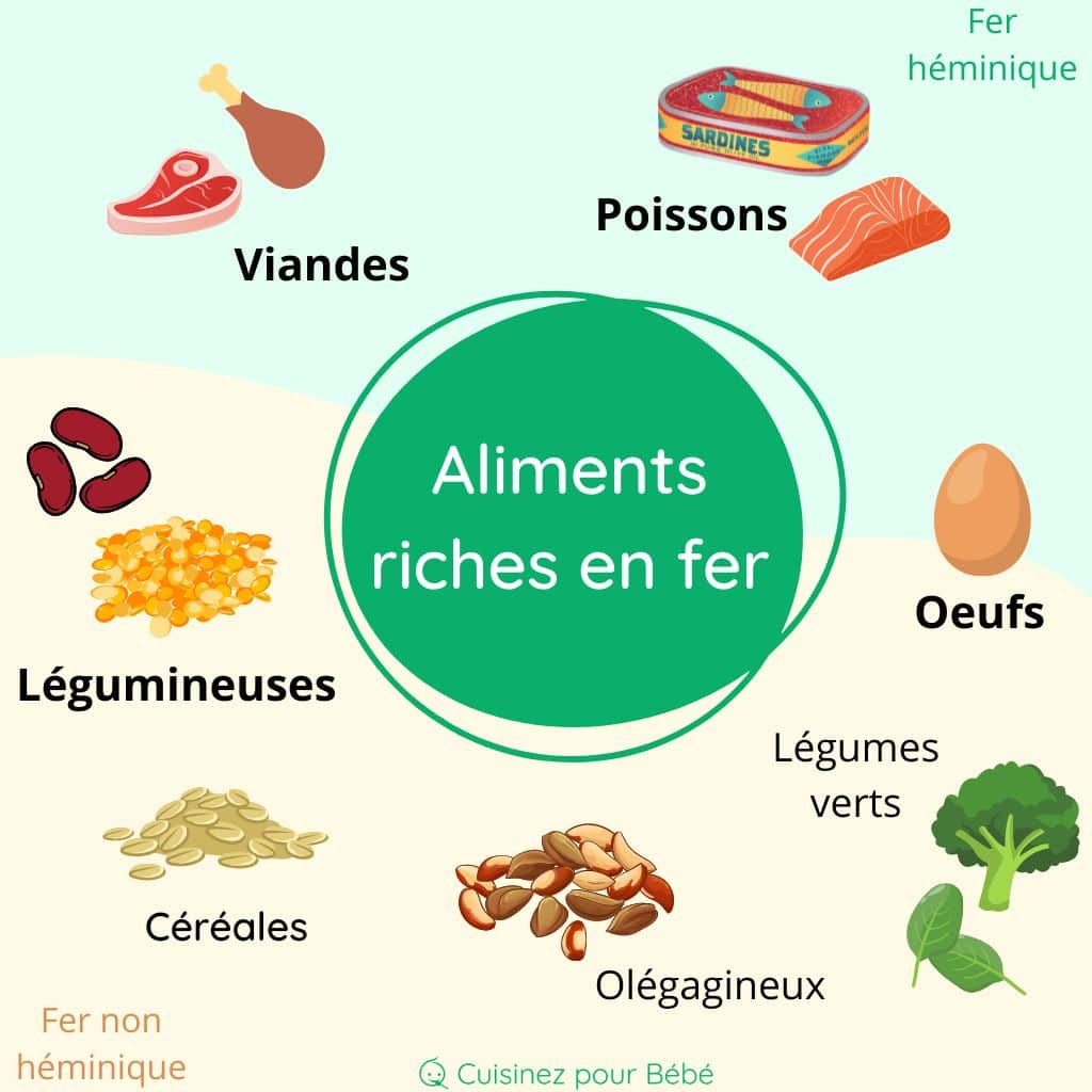 Les Aliments Riches En Fer Pour Bébé : Prévenir Les Carences ...