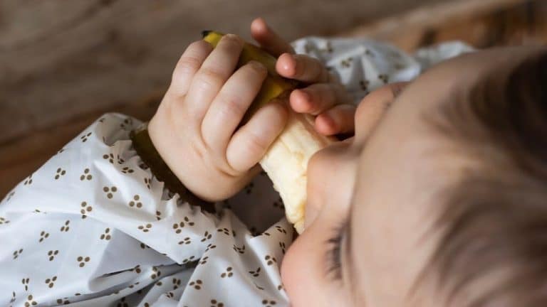 Cuisinez pour bébé - Les grandes étapes