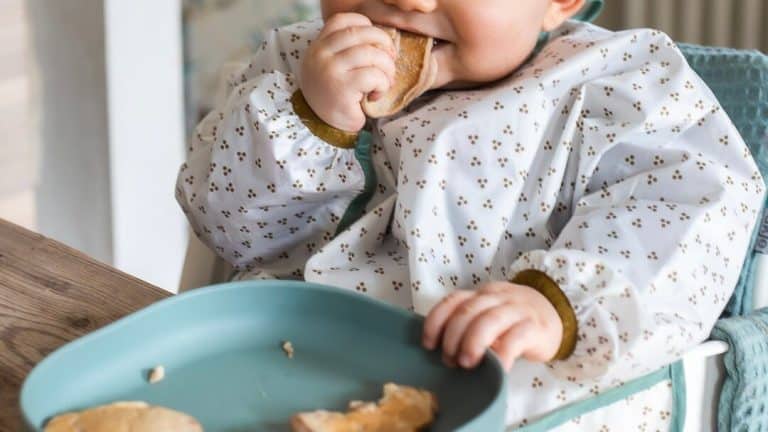 petit dejeuner bebe