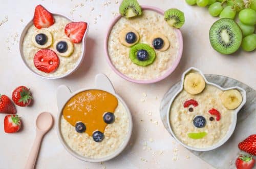 Porridge animaux H copie