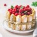 Charlotte aux framboises H