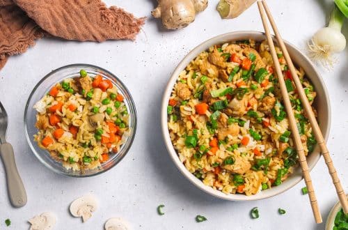 Riz sauté au poulet teriyaki H