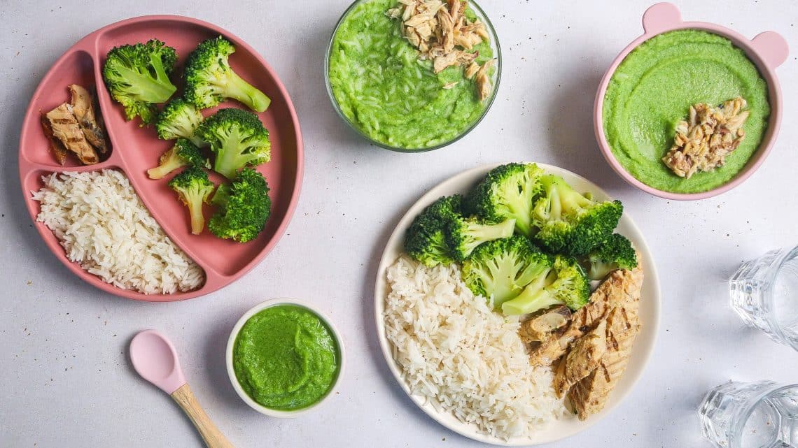 Riz, maquereaux et brocoli H