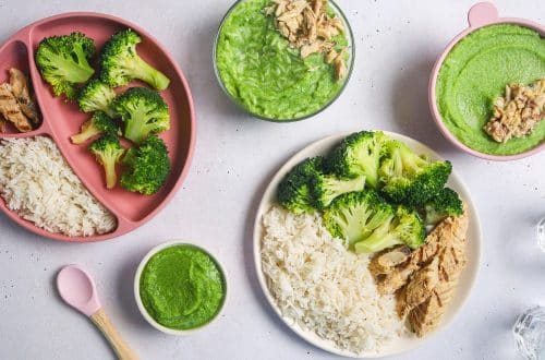 Riz, maquereaux et brocoli H